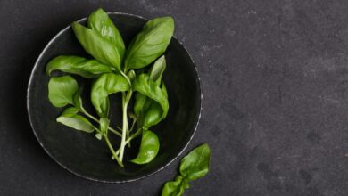 هفت شیطان مناسب برای خستگی