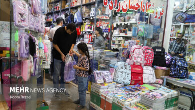 صدمات نامناسب "چمدان" ؛ از درد اسکلتی گرفته تا مشکلات قلبی - آژانس خبری مهر | اخبار ایرانی و جهانی