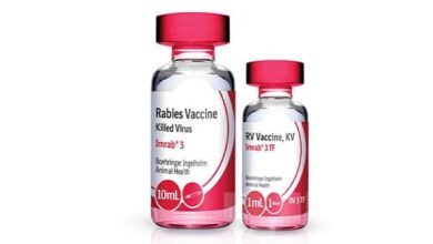 کنفرانس روز جهانی هاری در موسسه پاستور - آژانس خبری مهر | برگزار می شود | اخبار ایرانی و جهانی