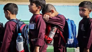 جشن شکوفه فرصتی برای کاهش اضطراب کودکان است ، نه یک رویداد نمادین - آژانس خبری مهر | اخبار ایرانی و جهانی