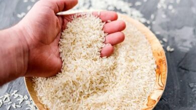 بازگشت 5 تن برنج آلوده به پاکستان - آژانس خبری مهر | اخبار ایرانی و جهانی