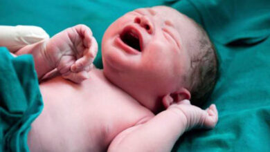 درمان ناباروری با نگاه یک بعدی کار نمی کند - آژانس خبری مهر | اخبار ایرانی و جهانی