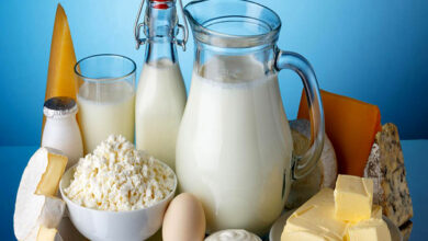 مصرف لبنیات در دوران بارداری ضروری است - آژانس خبری مهر | اخبار ایرانی و جهانی