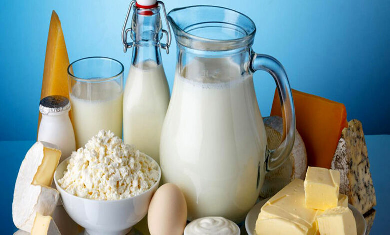 مصرف لبنیات در دوران بارداری ضروری است - آژانس خبری مهر | اخبار ایرانی و جهانی