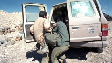 شنی ، پرستار زره پوش