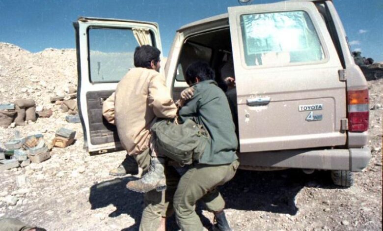شنی ، پرستار زره پوش