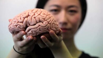 چگونه می توان مغز خود را با استفاده از روشهای طبیعی سم زدایی کرد؟