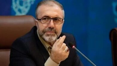 بررسی پیشنهاد واردات یا کشت کنترل‌شده خشخاش در کشور