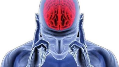 علائم و مراحل آغاز آلزایمر چیست؟/ توصیه‌هایی به خانواده‌های مبتلایان زوال عقل