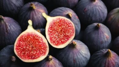 خواص انجیر برای مردان و زنان + خواص درخت انجیر و خواص FIG خشک