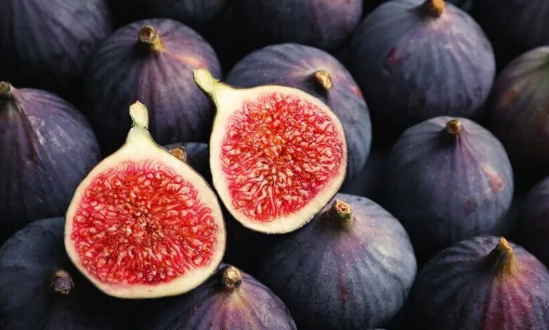 خواص انجیر برای مردان و زنان + خواص درخت انجیر و خواص FIG خشک