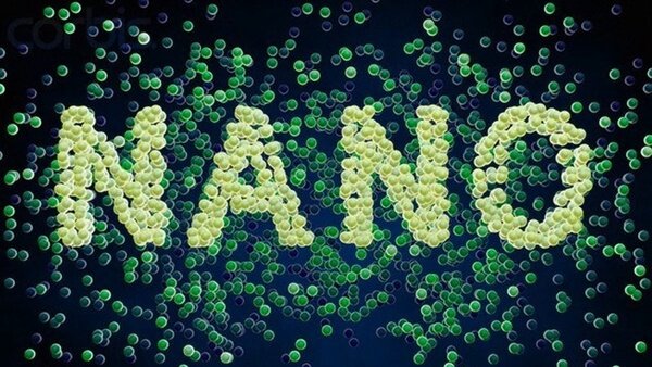 ایران میزبان المپیاد نانو دانش‌آموزی با حضور ۲۰ کشور جهان