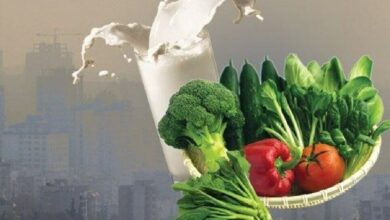 این غذاها به ریه در برابر آلودگی هوا کمک می کنند