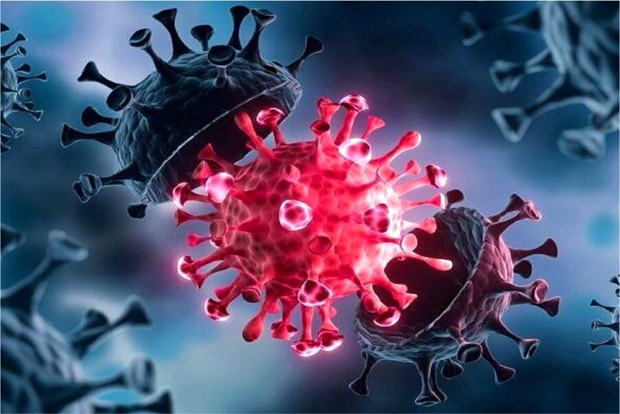 Corona هنوز در حال بازگشت Corona با چهره جدید در پاییز است