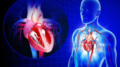 افراد سالم هر پنج سال یک‌بار چکاپ قلب انجام دهند