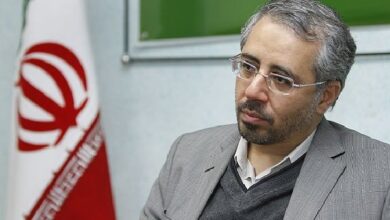 Bagheri Lankrani: 1 ٪ از بیماری های زنان افسردگی و اضطراب است - آژانس خبری مهر | اخبار ایرانی و جهانی