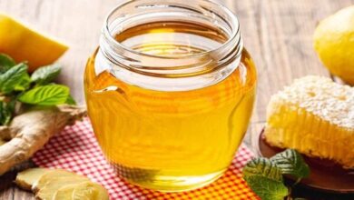 مصرف عسل در دوران بارداری تهدیدی برای جنین نیست - آژانس خبری مهر | اخبار ایرانی و جهانی