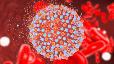 اجرای برنامه حذف هپاتیت C در سال آینده