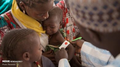 تعداد تلفات ناشی از شیوع تب لاسا در نیجریه به 9 رسید - آژانس خبری مهر | اخبار ایرانی و جهانی