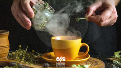 Demonos پاییز برای تقویت