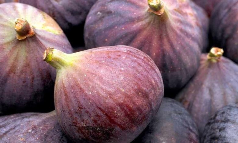 خواص این میوه ؛ از کاهش وزن گرفته تا جوان سازی پوست