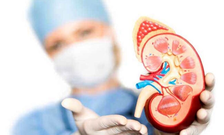 عادت های روزمره که سلامت کلیه را به خطر می اندازد