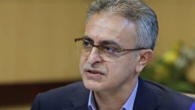 بشریت آنفولانزای پرنده تاکنون گزارش شده است - آژانس خبری مهر | اخبار ایرانی و جهانی