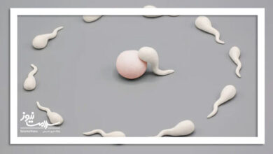 کنترل بارداری با سوئیچ مولکولی پنهان در اسپرم؛ انقلابی در پیشگیری از بارداری مردانه