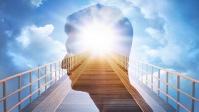 انتقاد از عدم روانشناسان و روانپزشکان در برنامه ریزی ملی - آژانس خبری مهر | اخبار ایرانی و جهانی