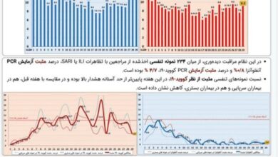 شایع ترین ویروس در ایران شناسایی شده است/ ایرانیان به تاج یا آنفولانزا آلوده شده اند؟