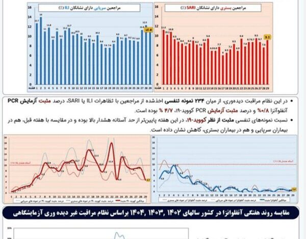 شایع ترین ویروس در ایران شناسایی شده است/ ایرانیان به تاج یا آنفولانزا آلوده شده اند؟