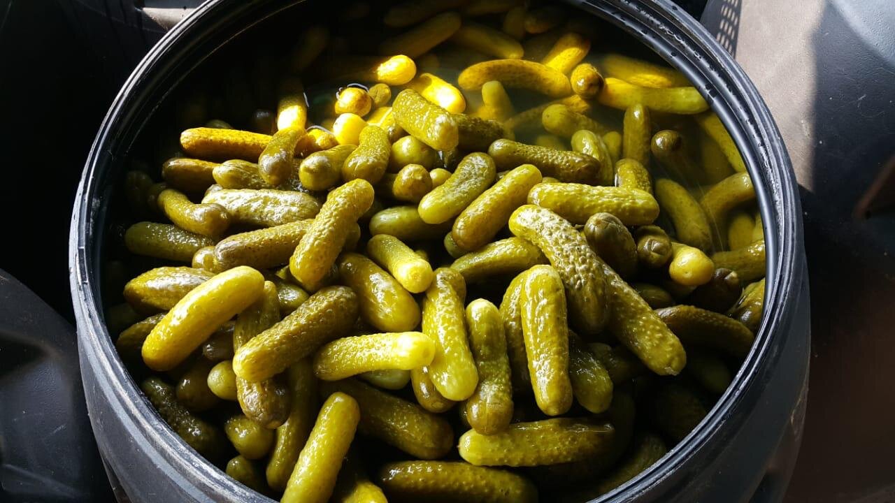 آیا لایه سفید روی خیار فله خطرناک است؟