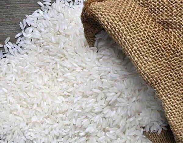 ارقام برنج پرتودهی شده، تراریخته نیست