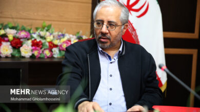 لنکرانی: صنعت داروسازی نیازمند اصلاحات ساختاری فوری است - خبرگزاری مهر ایران و جهان