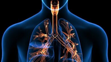 5 تمرین برای تقویت ریه ها