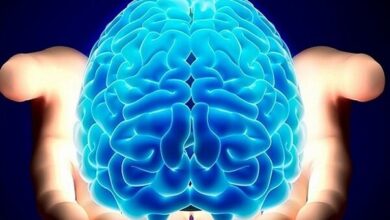 چشم انداز مثبت و انعطاف پذیری؛ دو رکن اصلی در سلامت روان - خبرگزاری مهر ایران و جهان