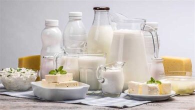 مصرف لبنیات در کشور نصف استاندارد است/ توزیع شیر مدارس تا ۲ هفته آینده