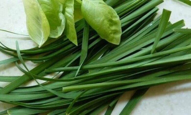 تره، قند بالایی ندارد و برای دیابتی‌ها ممنوع نیست