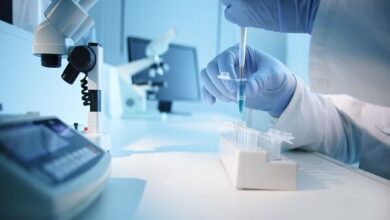 مسیر قانونی سلول و ژن درمانی هموار شد - خبرگزاری مهر ایران و جهان