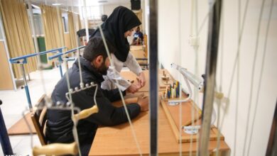 ضرورت دسترسی مردم به «کاردرمانی دست» در کشور - خبرگزاری مهر ایران و جهان
