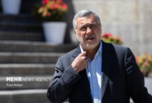 ظفرقندی: تاکنون 90 درصد ارز مورد نیاز واردات دارو تامین شده است - خبرگزاری مهر ایران و جهان