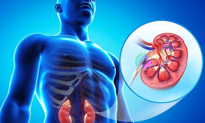 علائم اولیه مشکلات کلیوی چیست؟