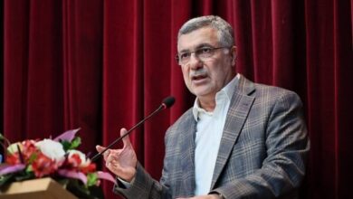 ظفرخندی: نقش رادیولوژی فراتر از تشخیص بیماری است - خبرگزاری مهر ایران و جهان