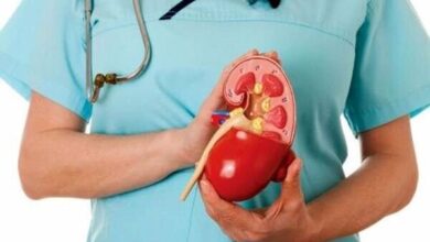 کارگران شیفتی با خطر بیشتری برای ابتلا به سنگ کلیه مواجه هستند - خبرگزاری مهر ایران و جهان
