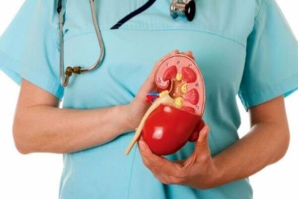 کارگران شیفتی با خطر بیشتری برای ابتلا به سنگ کلیه مواجه هستند - خبرگزاری مهر ایران و جهان