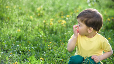 مدیریت آلرژی‌های پاییزی دانش‌آموزان با روش‌های طب سنتی