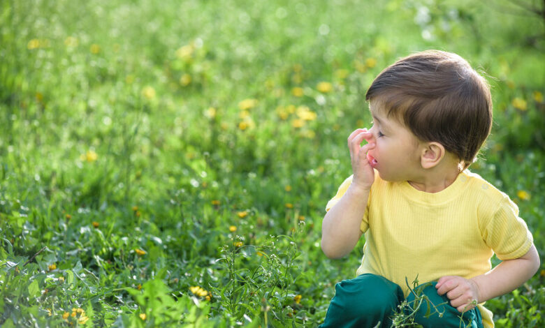 مدیریت آلرژی‌های پاییزی دانش‌آموزان با روش‌های طب سنتی