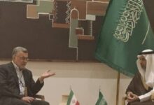 وزرای بهداشت ایران و عربستان بر گسترش همکاری های مشترک تاکید کردند