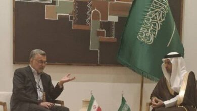 وزرای بهداشت ایران و عربستان بر گسترش همکاری های مشترک تاکید کردند