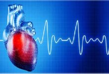 پرتودرمانی می تواند اختلال ریتم قلب را درمان کند - خبرگزاری مهر ایران و جهان